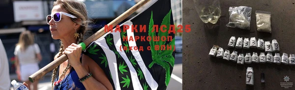 стаф Богданович