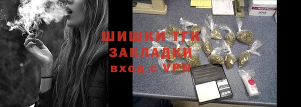 стаф Богданович