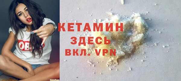 стаф Богданович