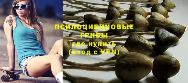 ПСИЛОЦИБИНОВЫЕ ГРИБЫ Богородицк
