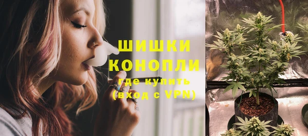 стаф Богданович