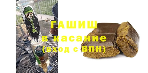 стаф Богданович
