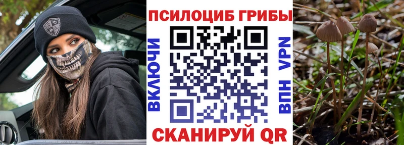 Псилоцибиновые грибы ЛСД  Гатчина 