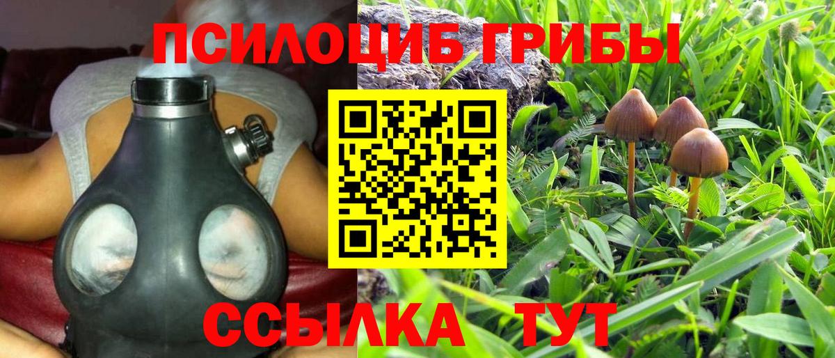 Гатчина  Галлюциногенные грибы MAGIC MUSHROOMS  Псилоцибиновые грибы MAGIC MUSHROOMS  Вход с VPN 