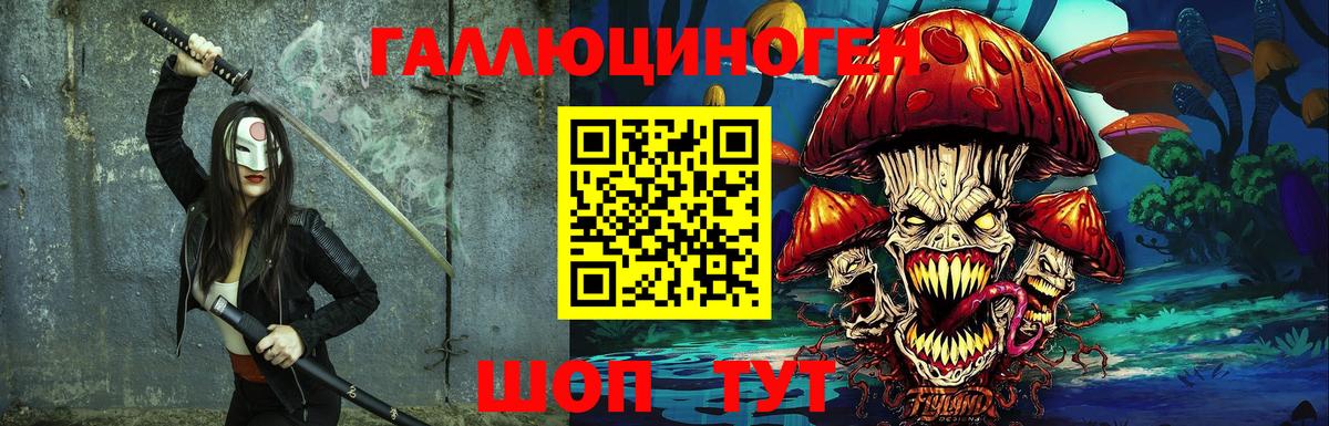 Псилоцибиновые грибы мухоморы  Гатчина  Псилоцибиновые грибы Psilocybe 