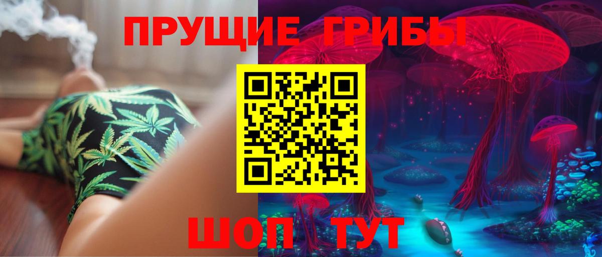 Псилоцибиновые грибы MAGIC MUSHROOMS Гатчина