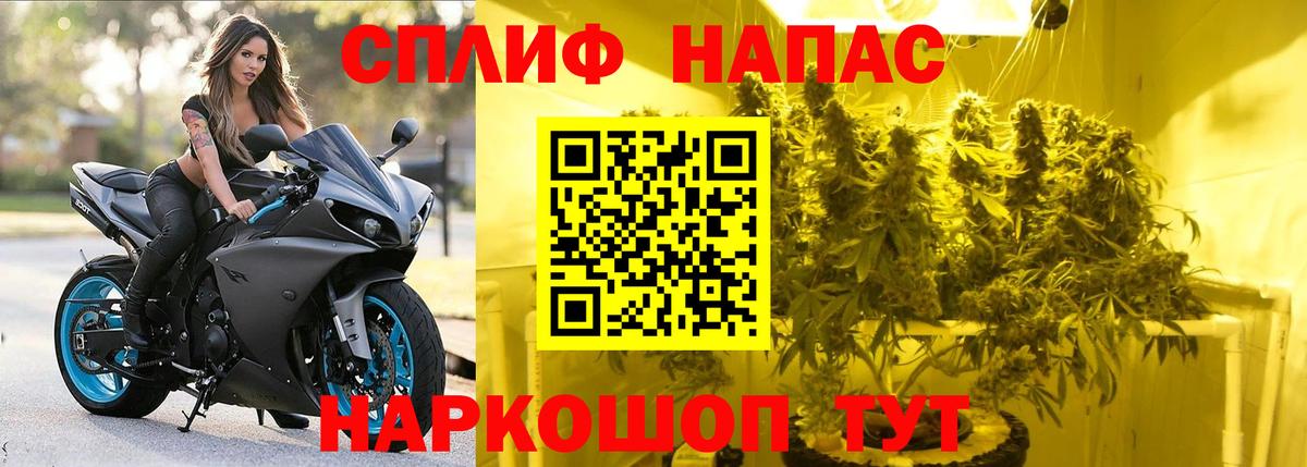 Марихуана Amnesia  Вход с VPN  Конопля AK-47  Конопля AK-47  Гатчина  Конопля планчик 